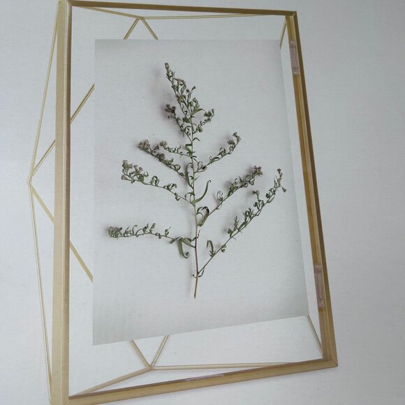 UMBRA Prisma Brass Photo Display 8" x 10" Picture Frame Holder New OPEN BOX - Picture 4 of 10